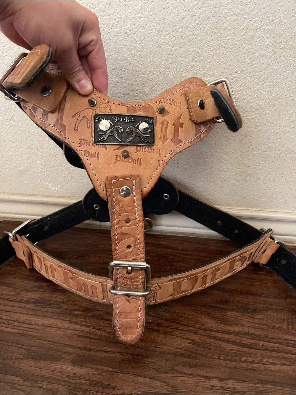 Pit Bull Leather Dog Harness Studded Western Style Vintage